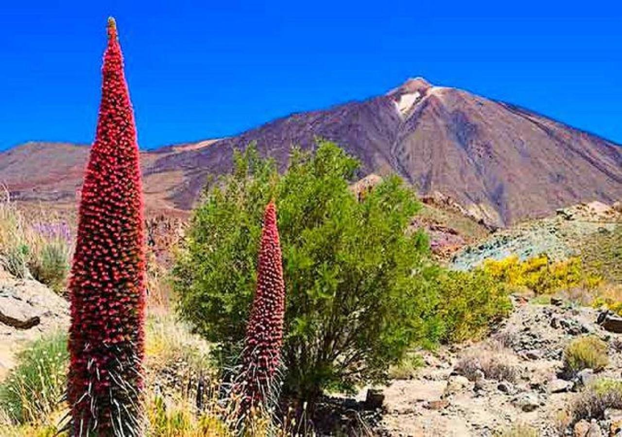 Casa Tayri De Tamaide Tenerife Sur San Miguel de Abona Exterior foto